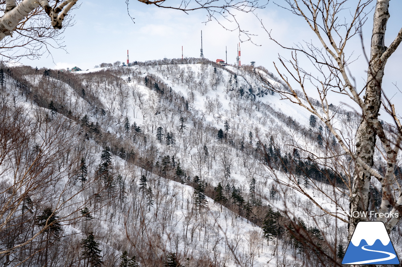 サッポロテイネ｜山頂積雪 285cm！絶好の春コンディションのゲレンデは、『アルペンスキー大会』『モーグル大会』『テイネ雪山祭り』『北海道米そり選手権2026』で大盛り上がり～(^^)v